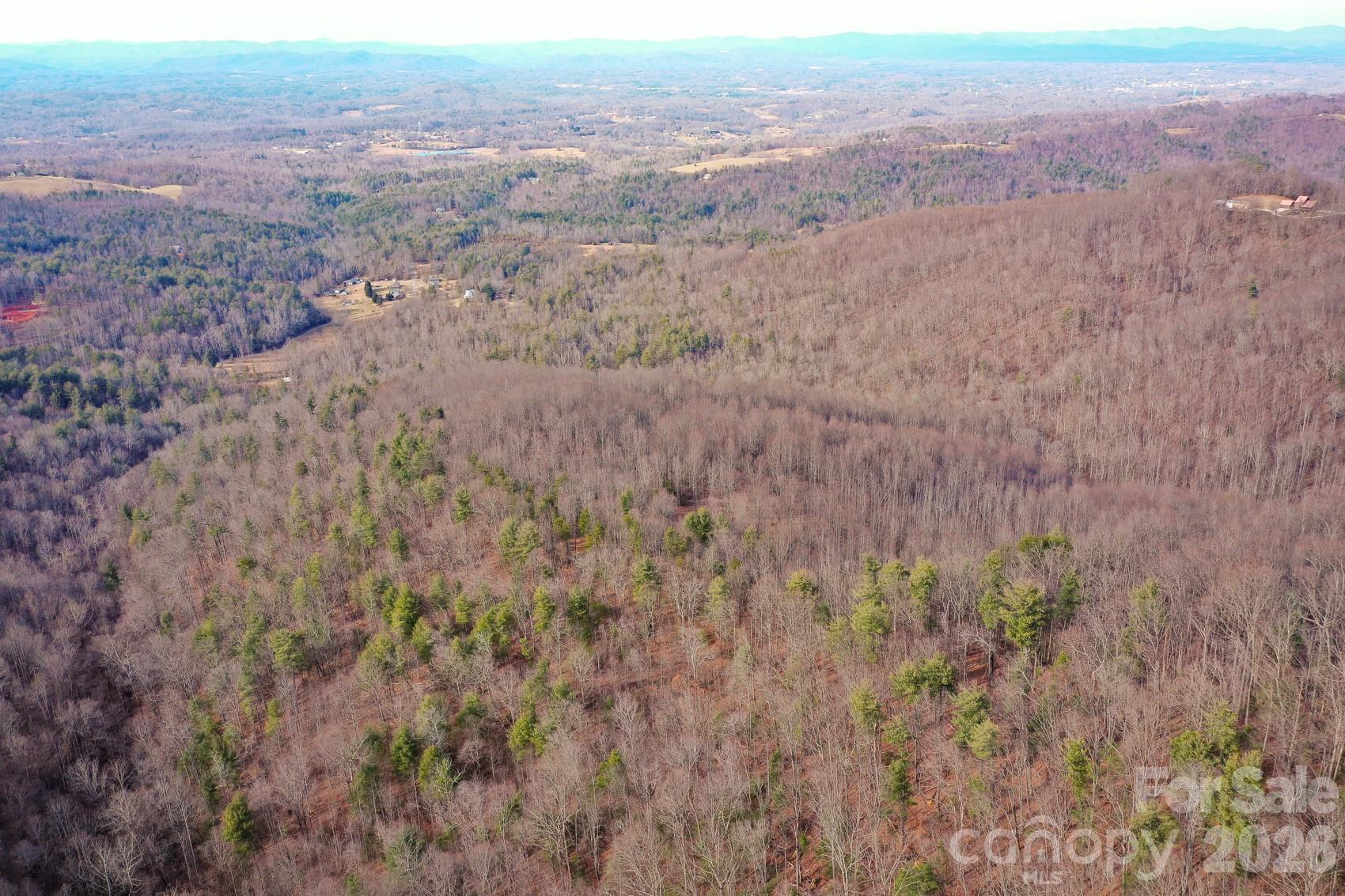 Tbd West Meadows Road Moravian Falls, NC 28654 - Photo 26 of 41 a view of a dry field with trees in background