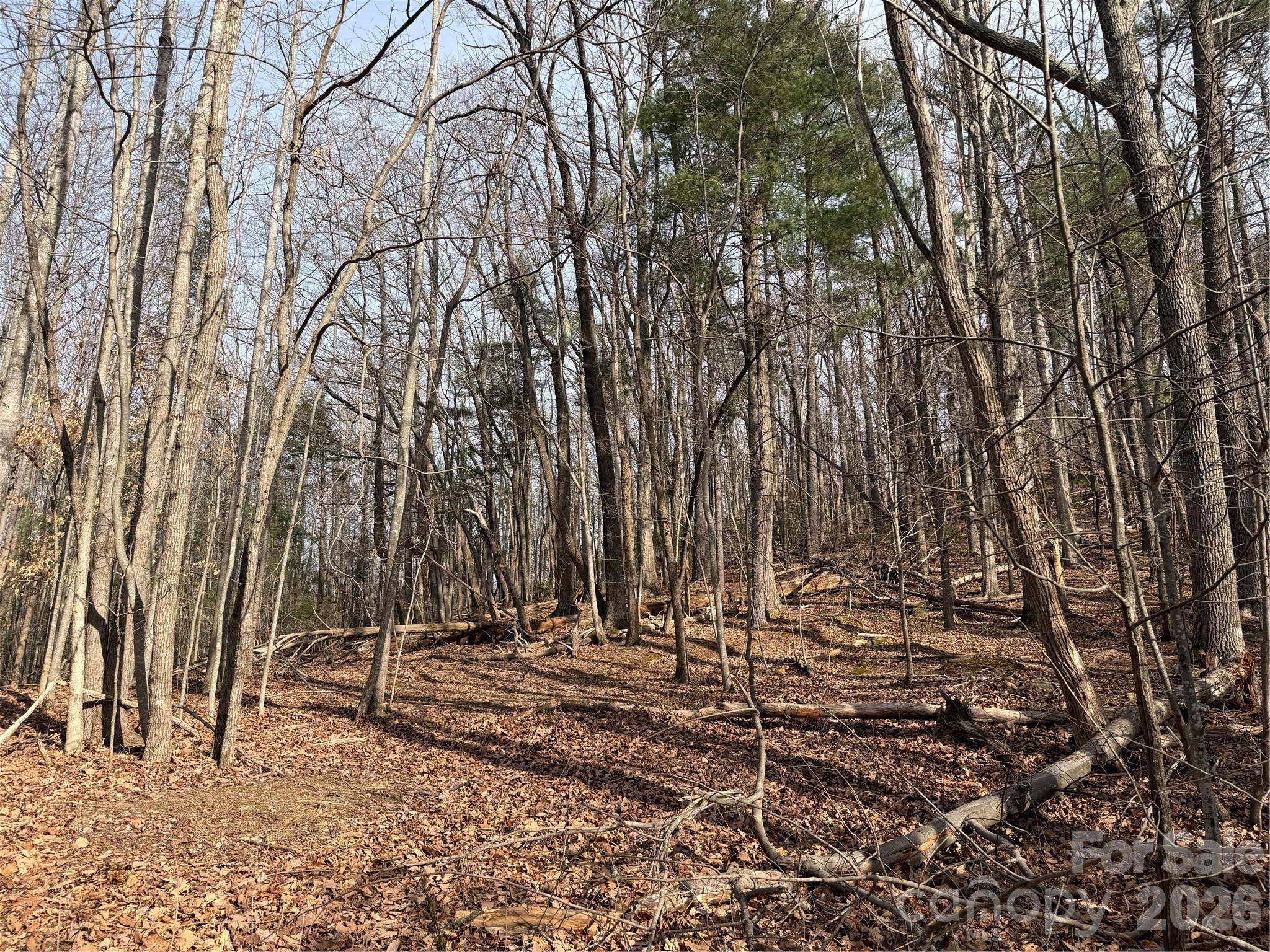 Tbd West Meadows Road Moravian Falls, NC 28654 - Photo 27 of 41 a view of house with trees