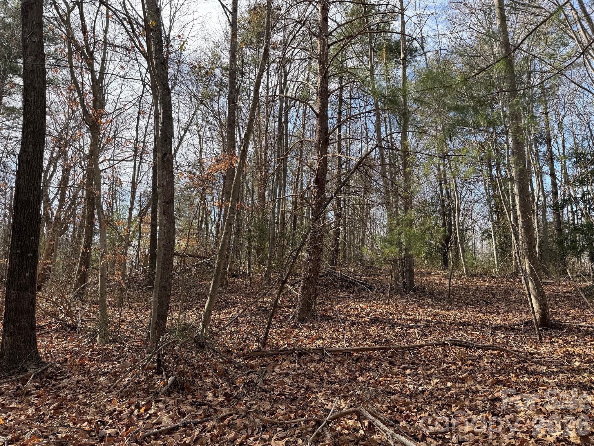 Tbd West Meadows Road Moravian Falls, NC 28654 - Photo 33 of 41 a backyard of a house with lots of green space