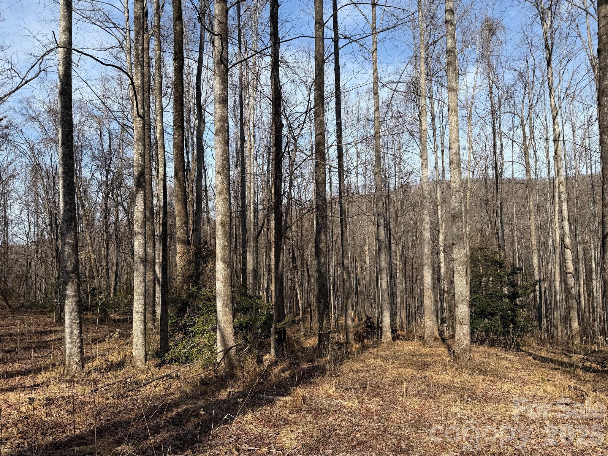 Tbd West Meadows Road Moravian Falls, NC 28654 - Photo 35 of 41