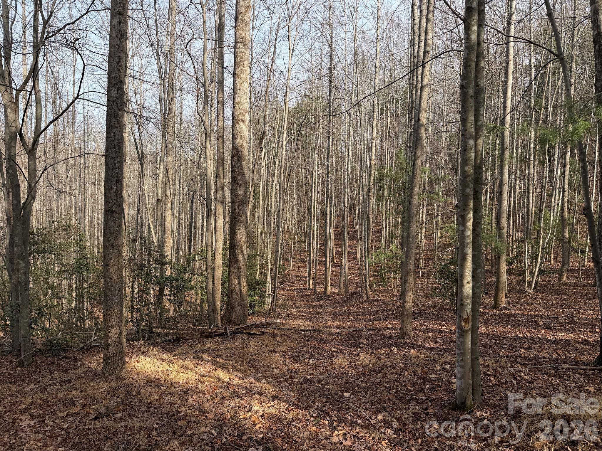 Tbd West Meadows Road Moravian Falls, NC 28654 - Photo 36 of 41