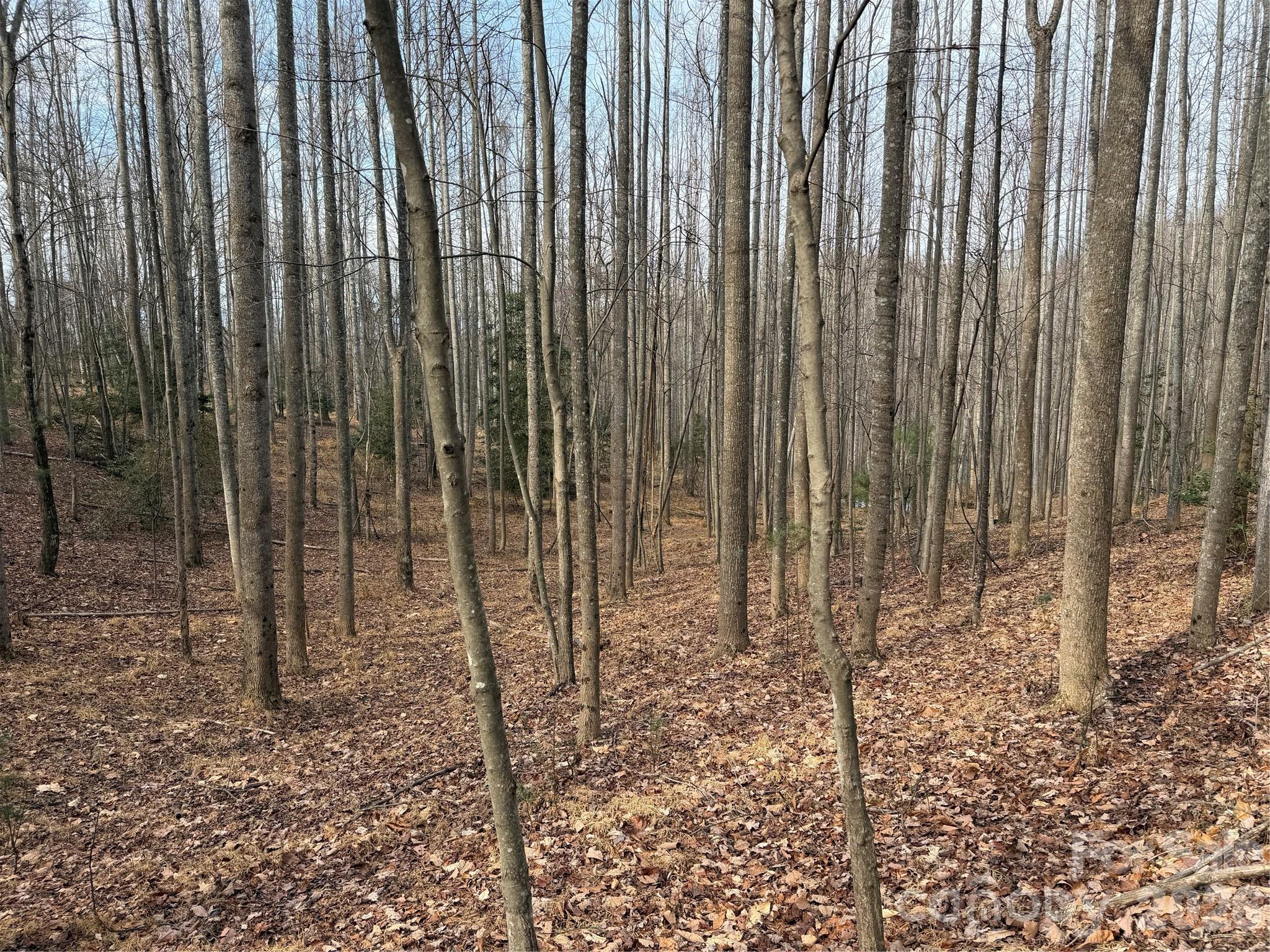Tbd West Meadows Road Moravian Falls, NC 28654 - Photo 37 of 41 a view of bath room with wooden floor