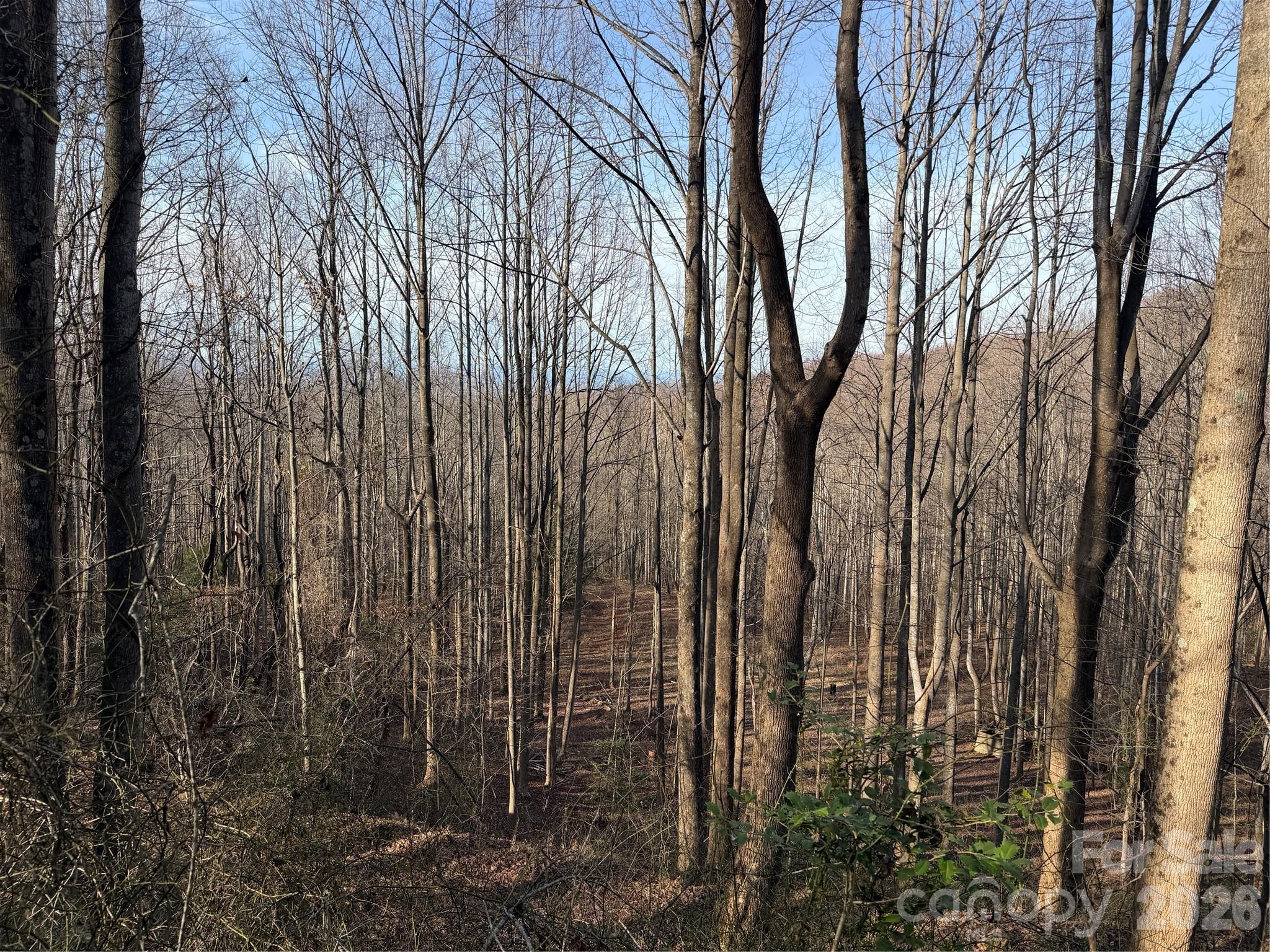 Tbd West Meadows Road Moravian Falls, NC 28654 - Photo 41 of 41