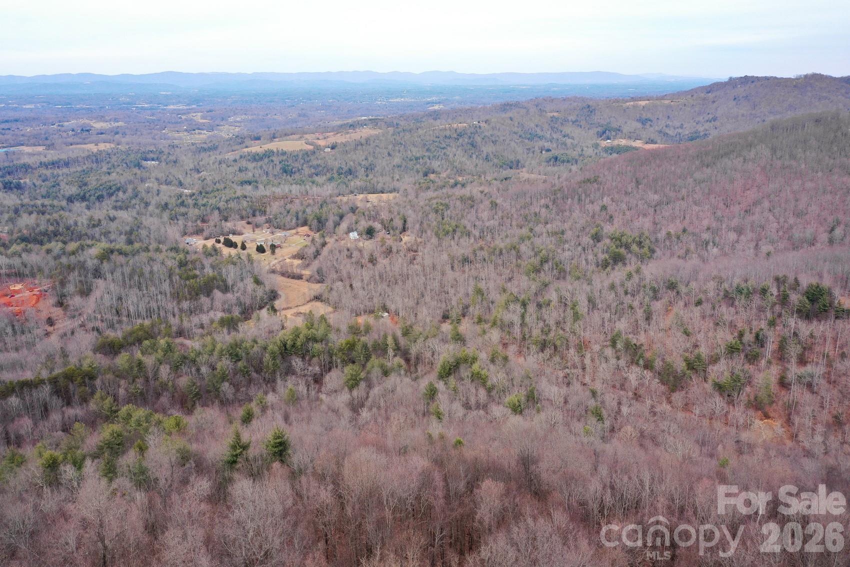 Tbd West Meadows Road Moravian Falls, NC 28654 - Photo 8 of 41 a view of a dry yard