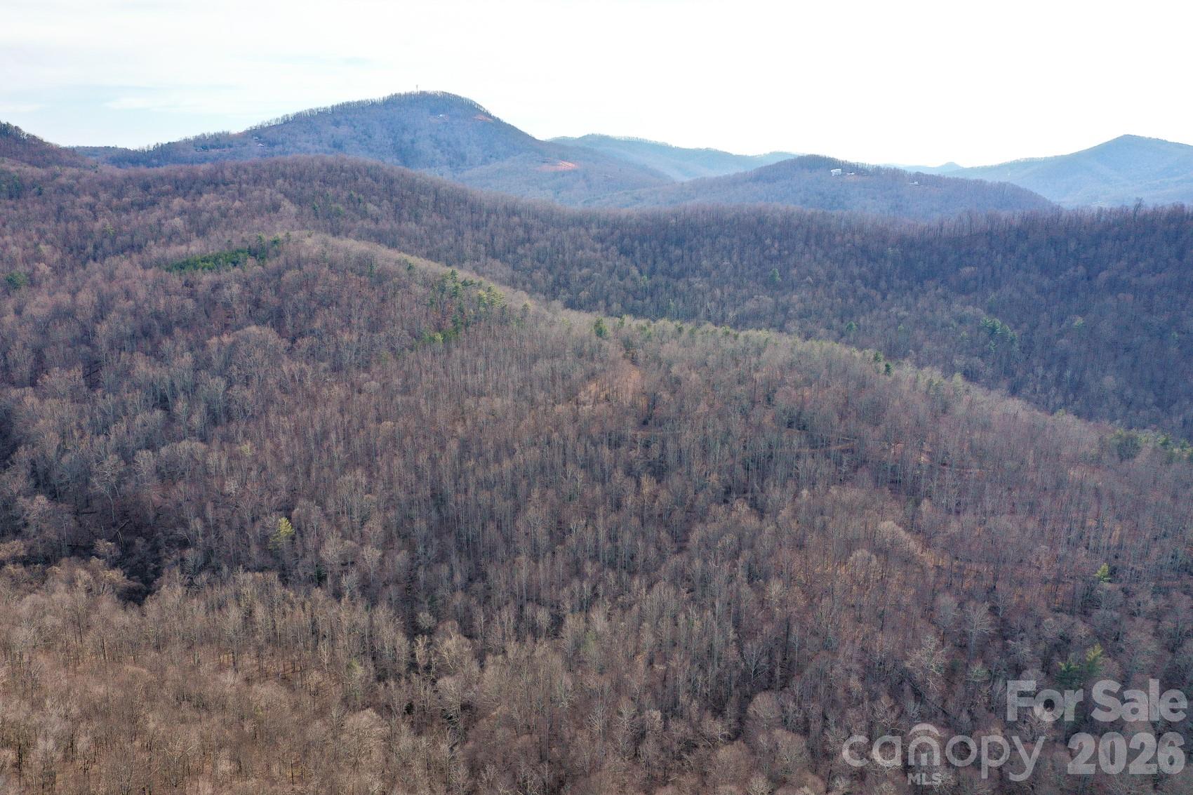 Tbd West Meadows Road Moravian Falls, NC 28654 - Photo 10 of 41