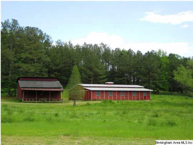 472 Wolf Creek Road Pell City, AL 35128 - Photo 10 of 15