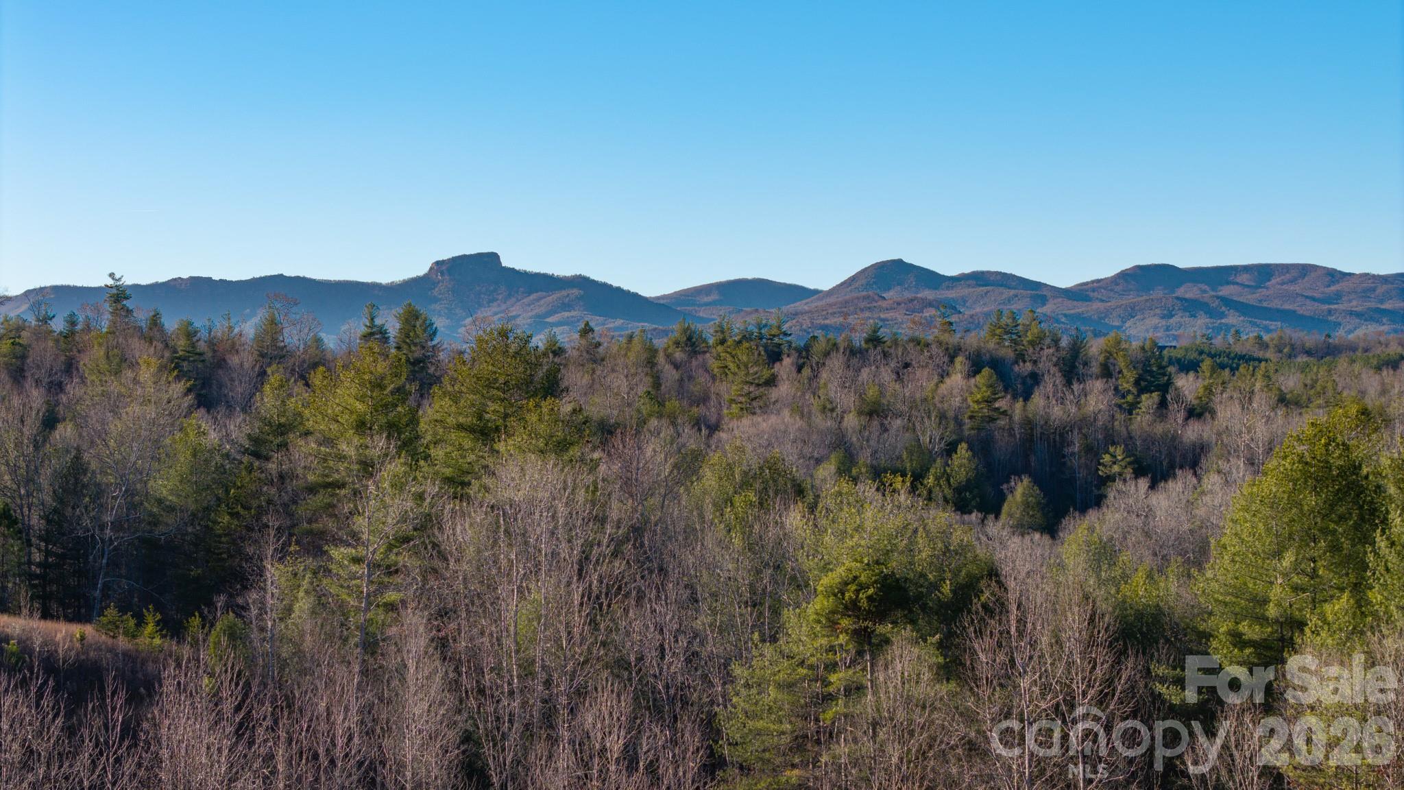 4021 Johns River Road Morganton, NC 28655 - Photo 11 of 35