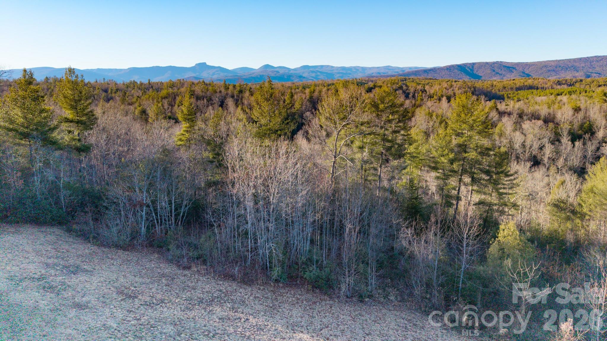 4021 Johns River Road Morganton, NC 28655 - Photo 9 of 35
