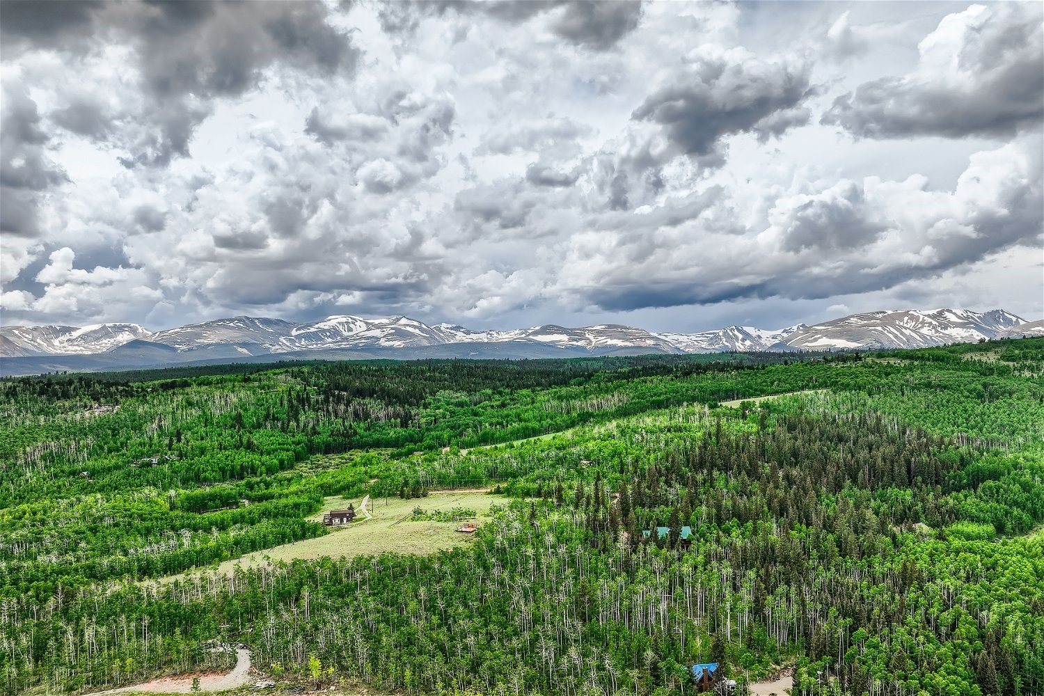 612 Iron Mountain Road Fairplay, CO 80440 - Photo 10 of 21 a view of a bunch of trees