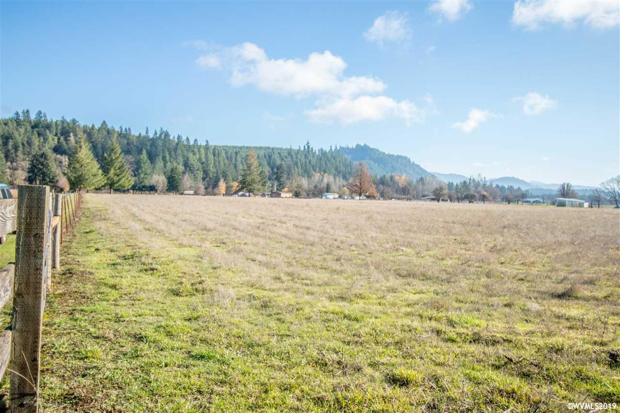 35619 Meridian Road Scio, OR 97374 - Photo 1 of 11