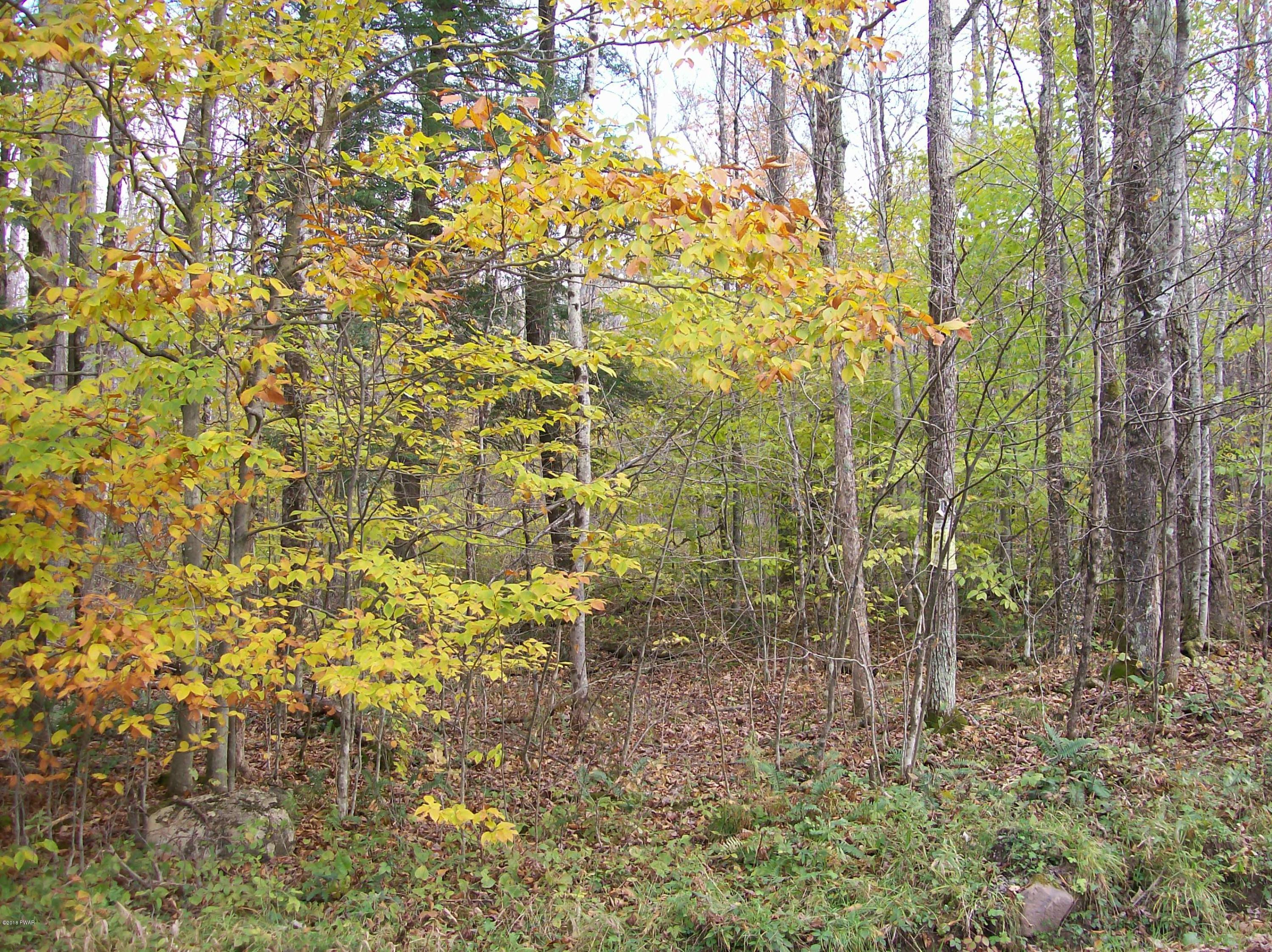 Lot 6-7 Bunting Road Hawley, PA 18428 - Photo 4 of 5