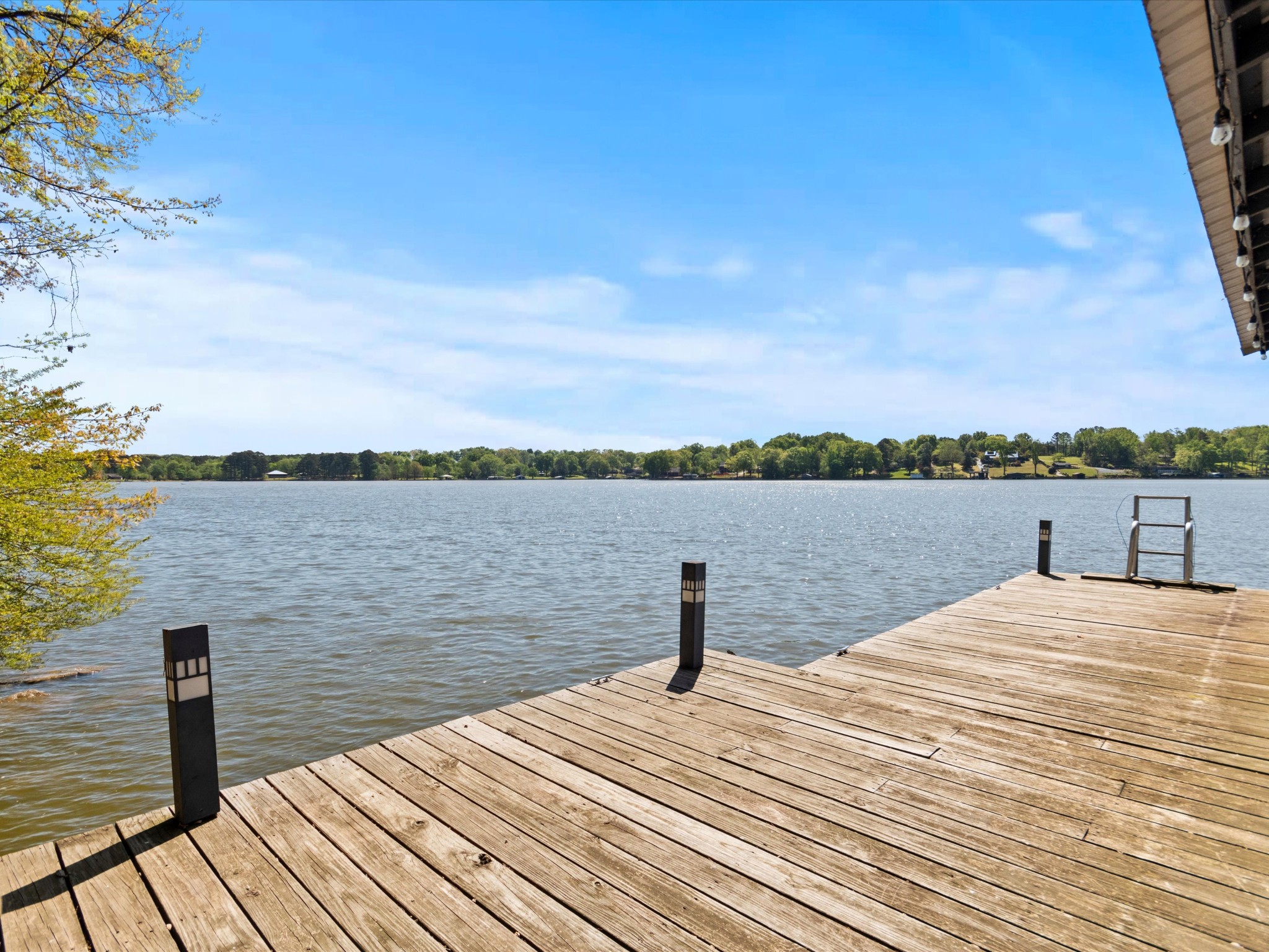 17515 Richter Road Rogersville, AL 35652 - Photo 51 of 57