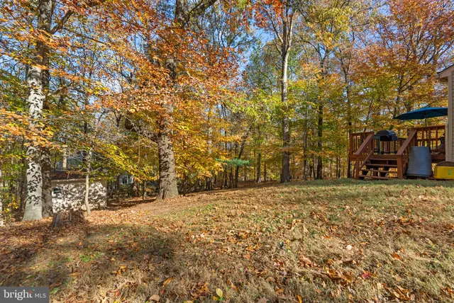 a view of outdoor space yard and patio