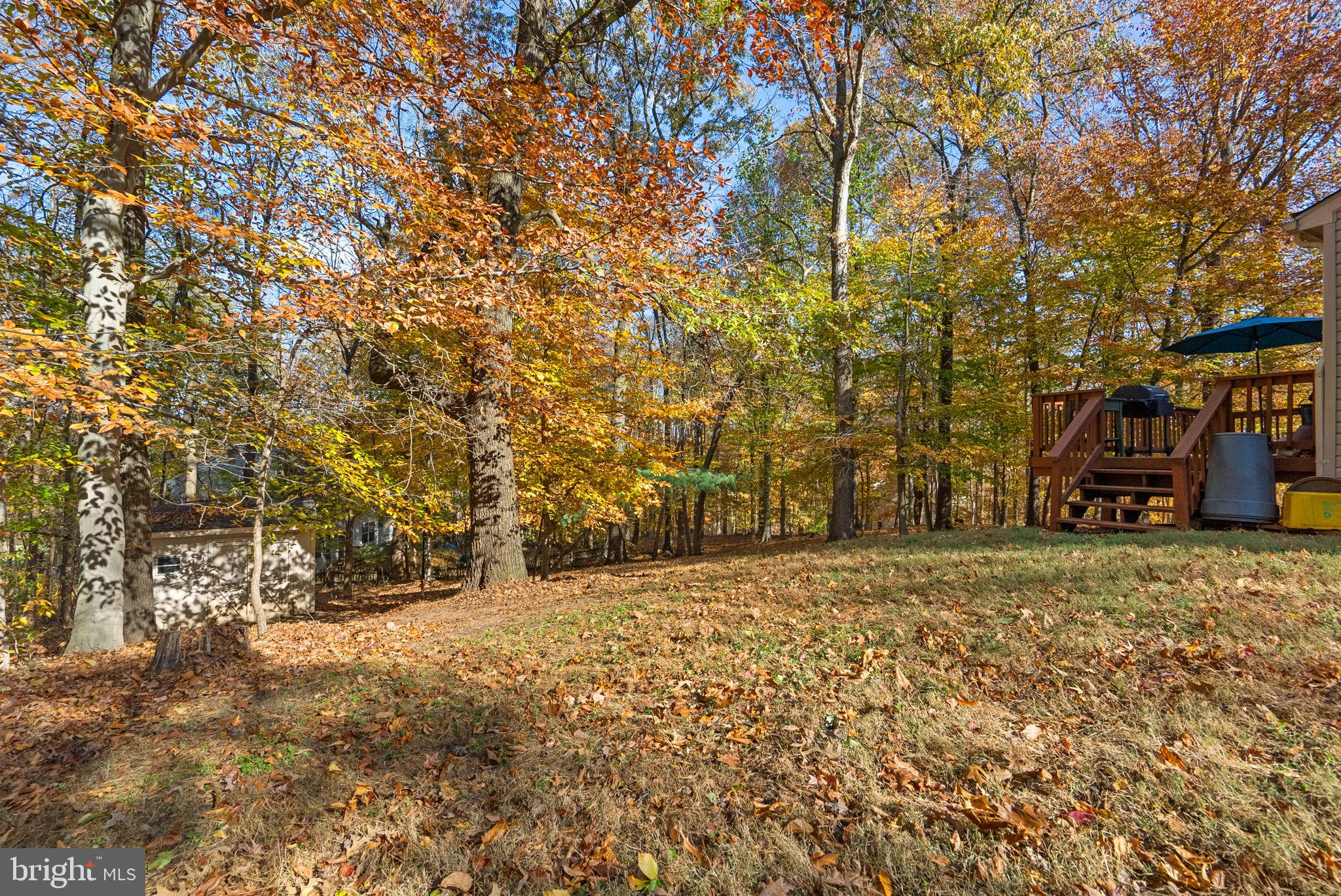 2914 Hatboro Place Upper Marlboro, MD 20772 - Photo 41 of 42 a view of a field with trees in front of it