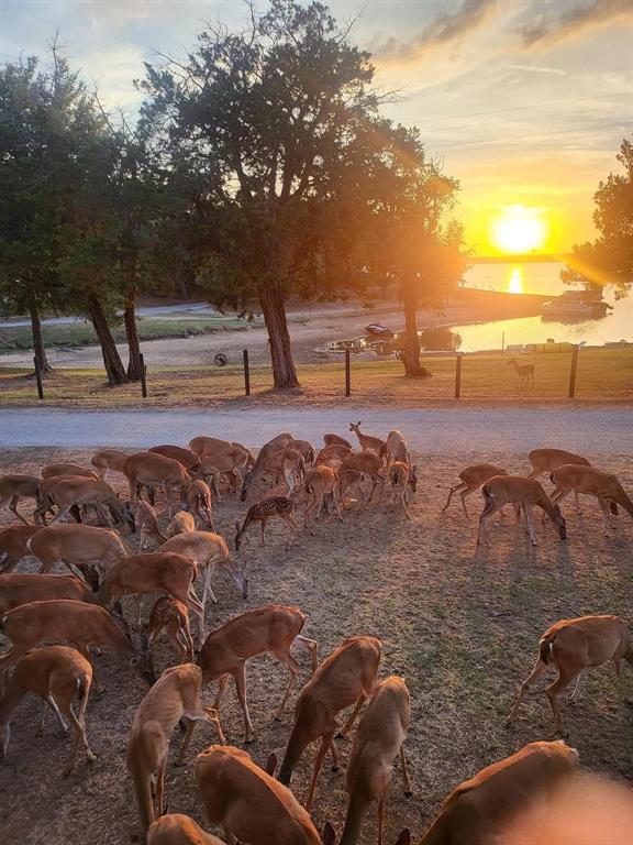 2334 San Bar Road, Unit 86 Graford, TX 76449 - Photo 21 of 40