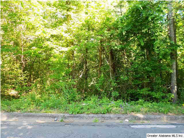 3551 Mill Springs Road, Unit LOT 2A Birmingham, AL 35223 - Photo 2 of 2