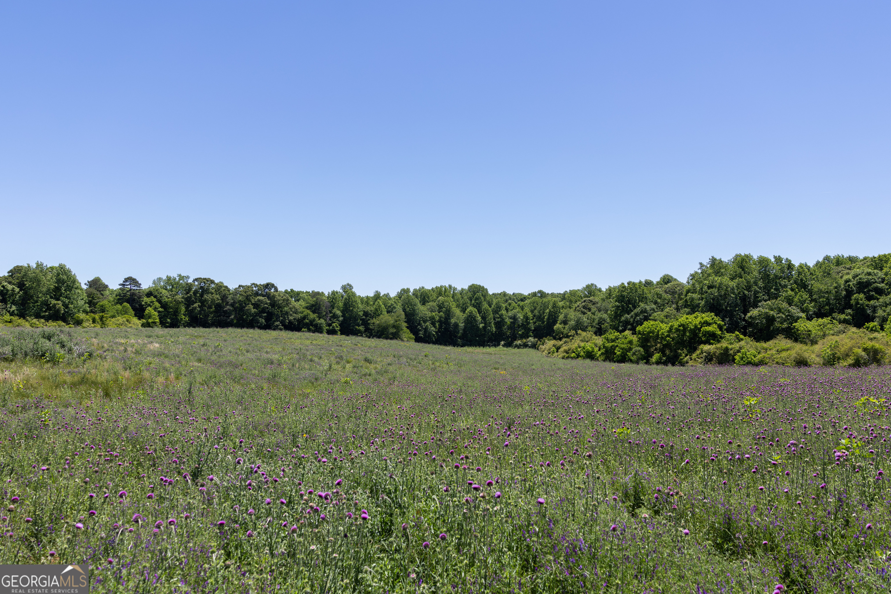 3600 Pea Ridge Road Cornelia, GA 30531 - Photo 6 of 11 a view of an outdoor space and a yard