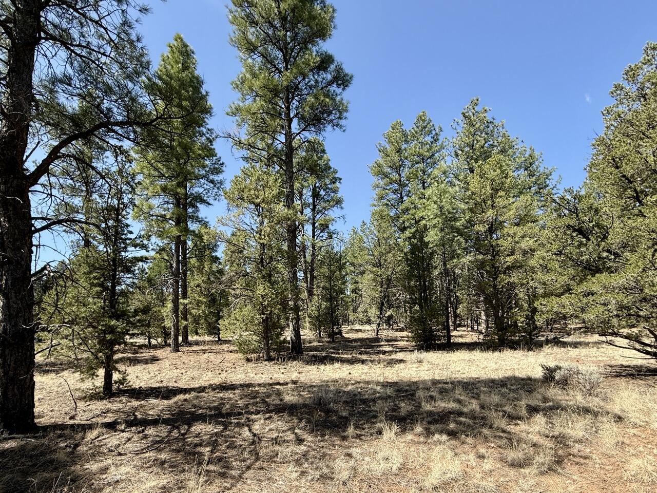 823 Timberlake Road Ramah, NM 87321 - Photo 33 of 47 Gallery Image 33