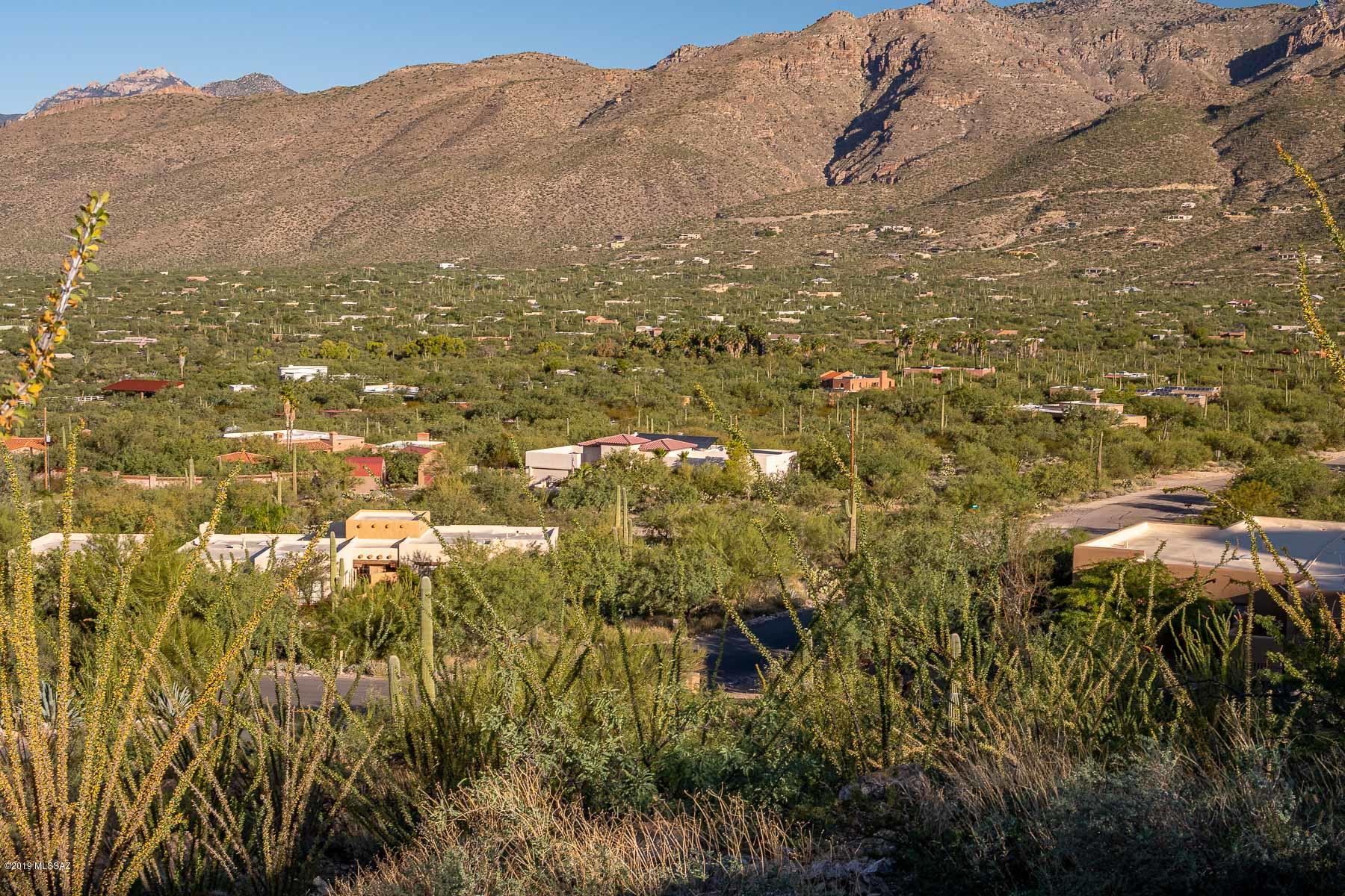 4140 Larkspur Road, Unit 79 Tucson, AZ 85749 - Photo 47 of 50 Gallery Image 47