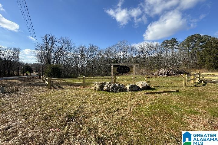 1036 Rushing Springs Road Lincoln, AL 35096 - Photo 51 of 58