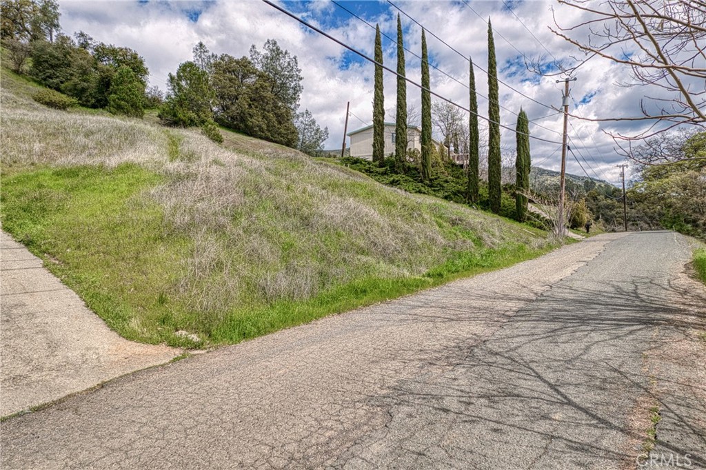 7037 Butte Street Nice, CA 95464 - Photo 14 of 16 a view of a yard with pathway