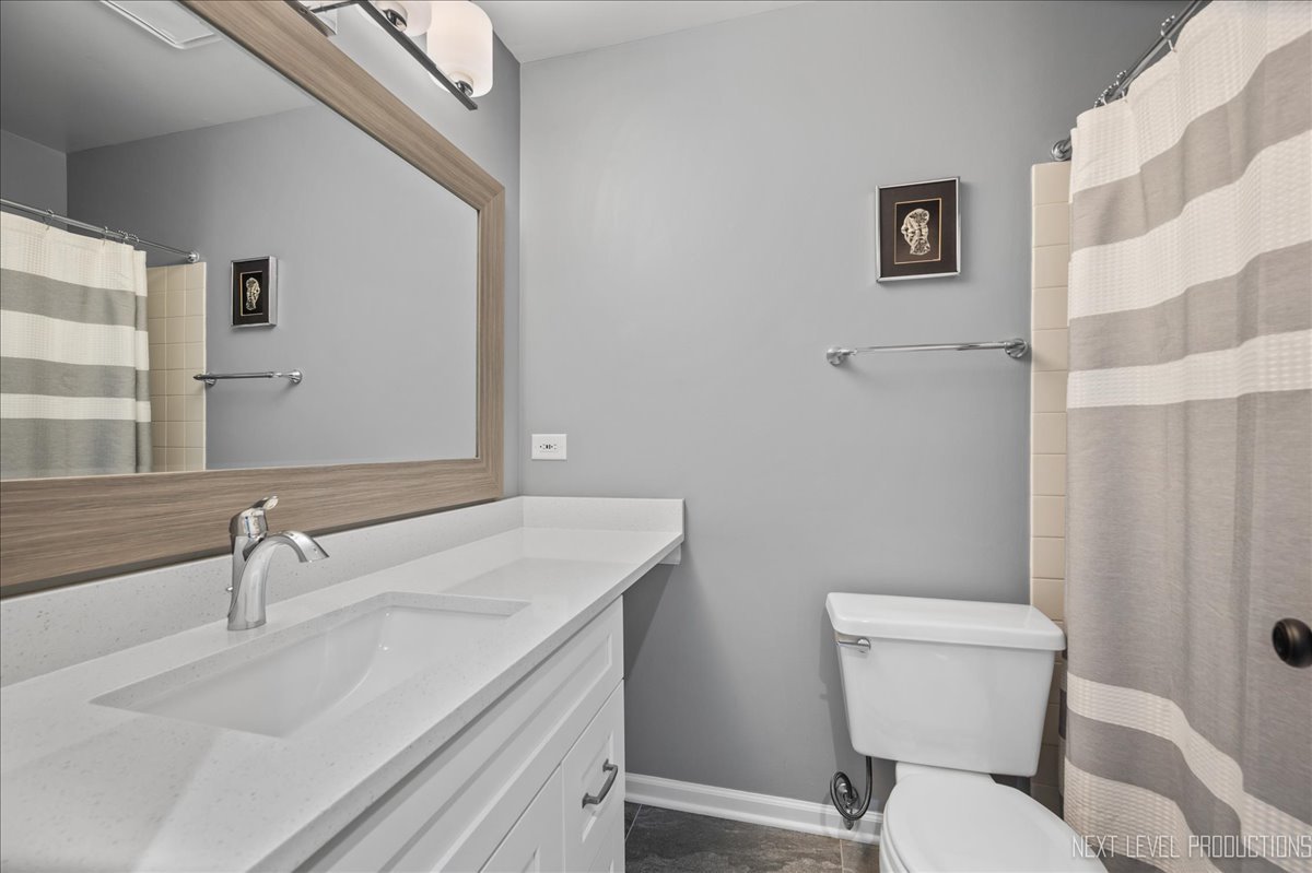 1244 Churchill Road Bartlett, IL 60103 - Photo 26 of 33 a bathroom with a sink and a toilet