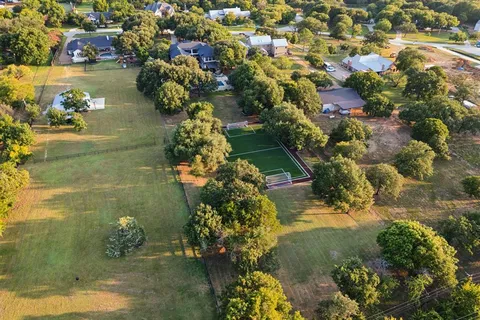 a picture of flowers