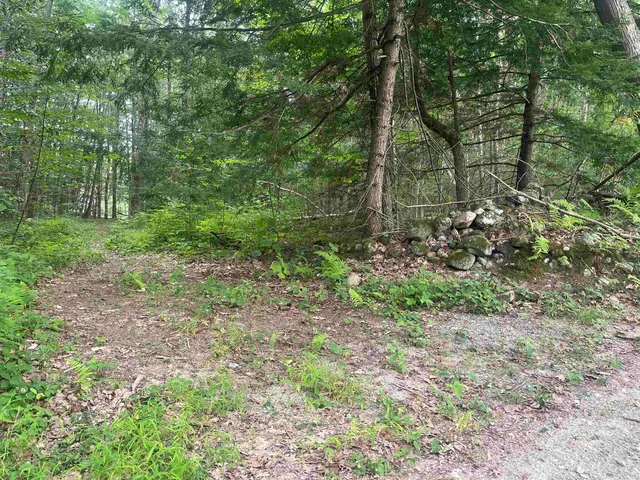 $89,000 | 0 Monument Road, Richmond, NH 03470