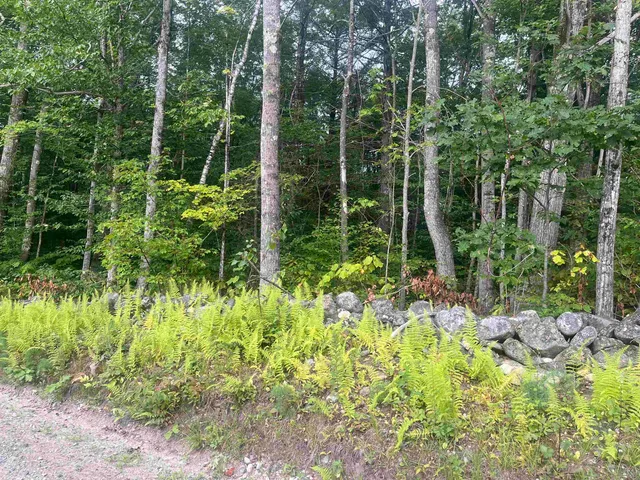 $89,000 | 0 Monument Road, Richmond, NH 03470