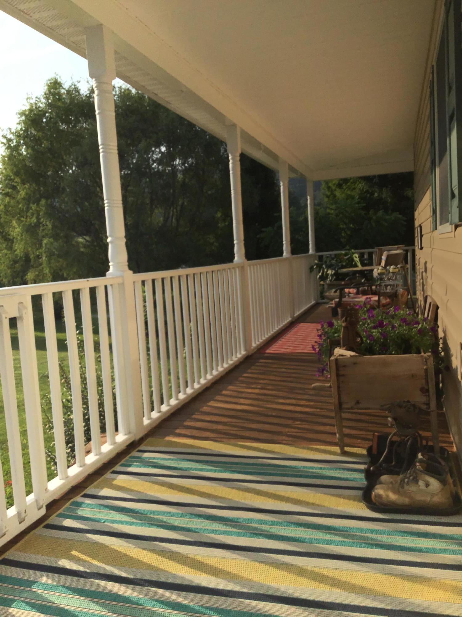 239 Deep Springs Road Dryden, VA 24243 - Photo 3 of 59 Side porch