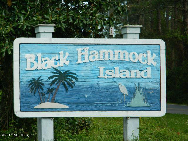 16033 Shellcracker Road Jacksonville, FL 32226 - Photo 29 of 38 Black Hammock Island