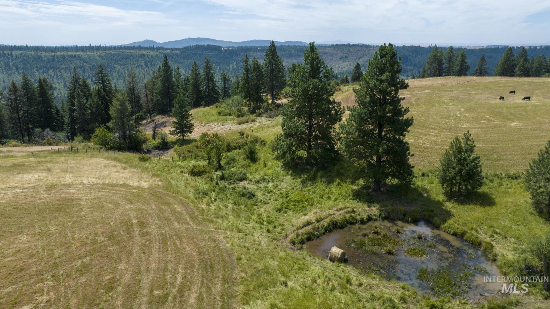 1605 Jasmine Lane Weippe, ID 83553 - Photo 9 of 11