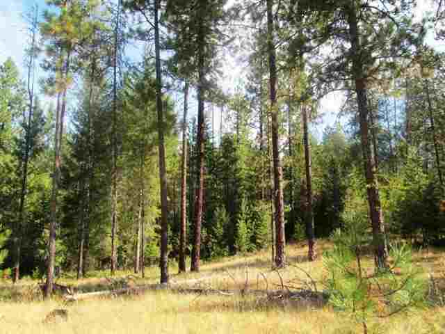 360 Old Dominion Road Colville, WA 99114 - Photo 1 of 7