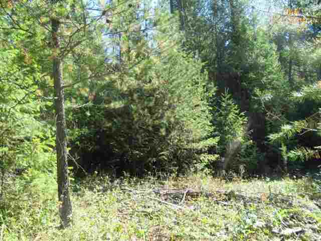 360 Old Dominion Road Colville, WA 99114 - Photo 2 of 7