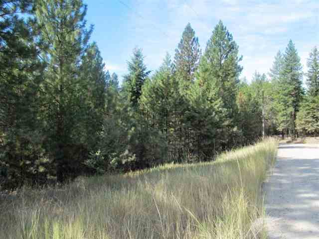360 Old Dominion Road Colville, WA 99114 - Photo 3 of 7