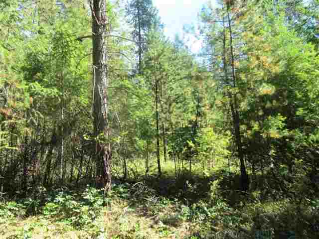 360 Old Dominion Road Colville, WA 99114 - Photo 4 of 7