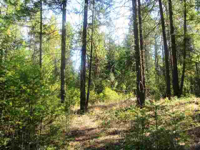 360 Old Dominion Road Colville, WA 99114 - Photo 5 of 7