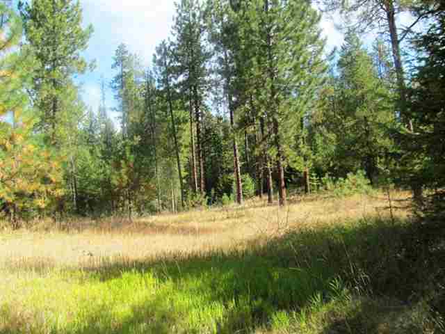 360 Old Dominion Road Colville, WA 99114 - Photo 6 of 7