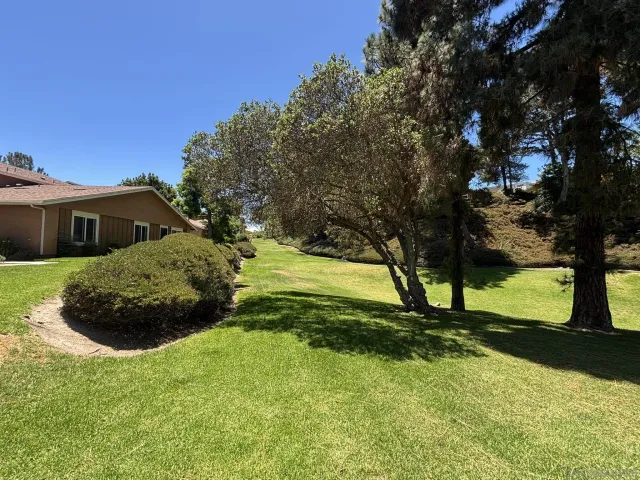 a view of a garden with a tree