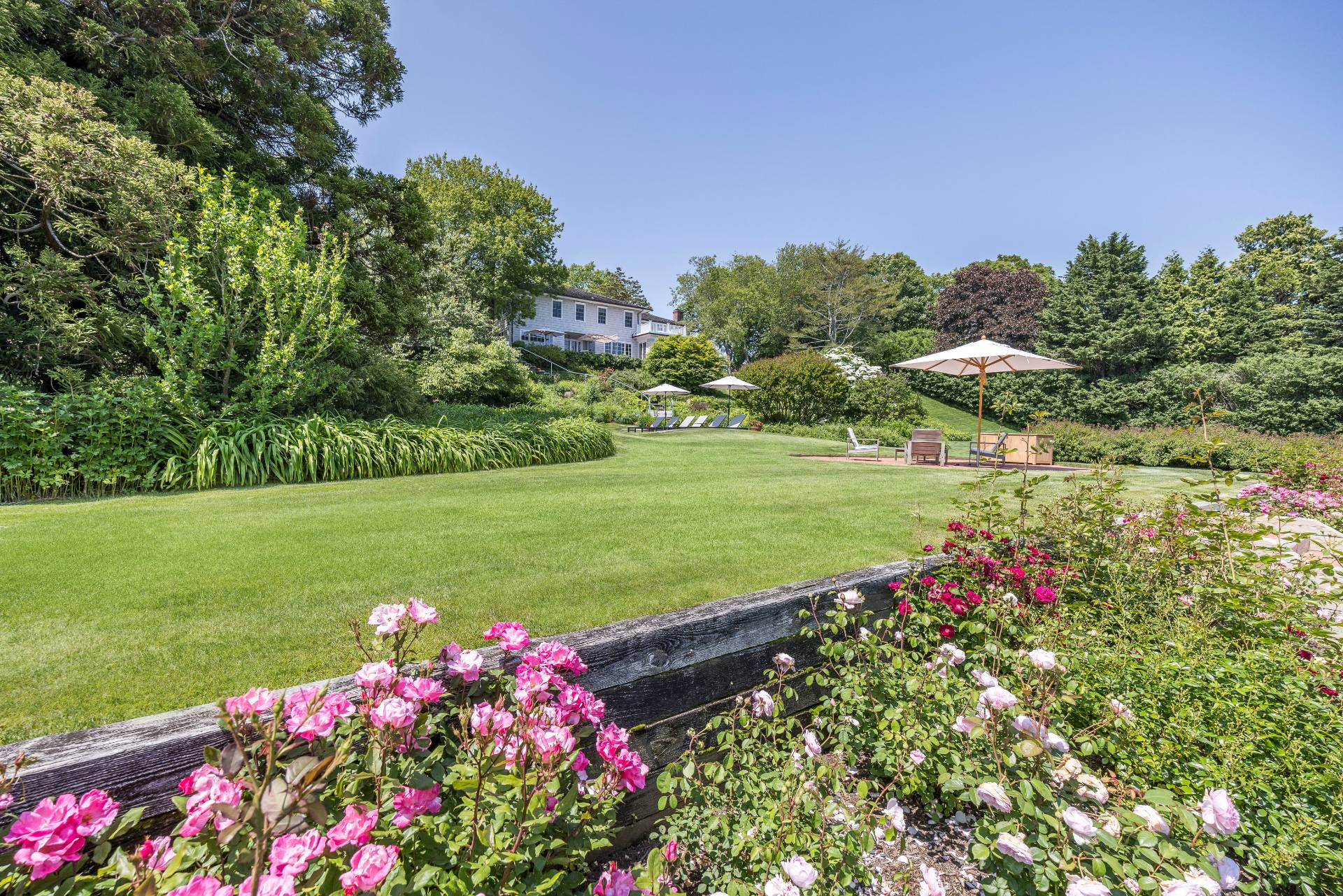 17 Apaquogue Road East Hampton, NY 11937 - Photo 12 of 37 a view of a flower in a garden