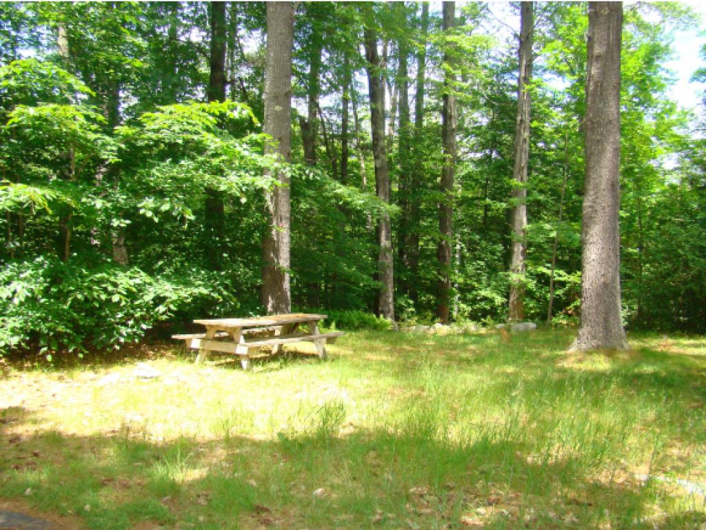 251 Winaukee Road Moultonborough, NH 03254 - Photo 3 of 31 Gallery Image 3