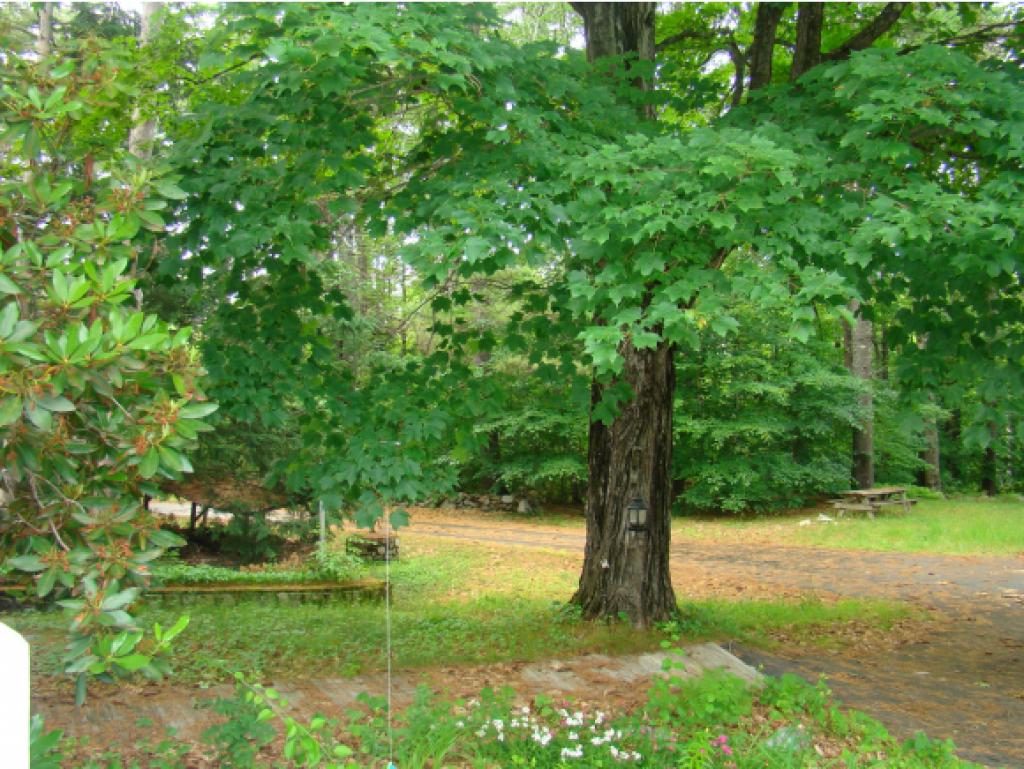 251 Winaukee Road Moultonborough, NH 03254 - Photo 27 of 31 Gallery Image 27