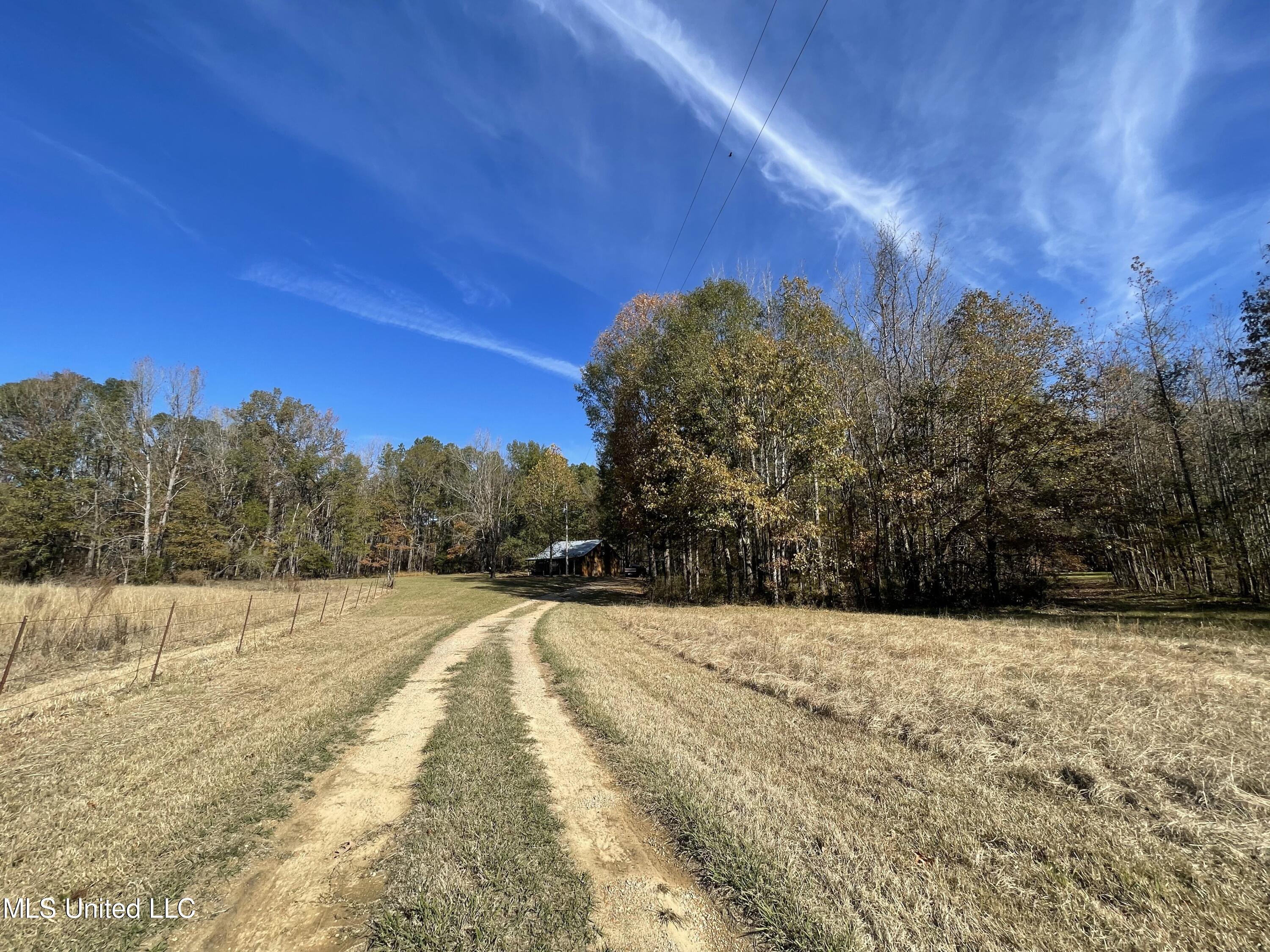 2300 Frank Hall Road Bolton, MS 39041 - Photo 35 of 56 IMG_5365