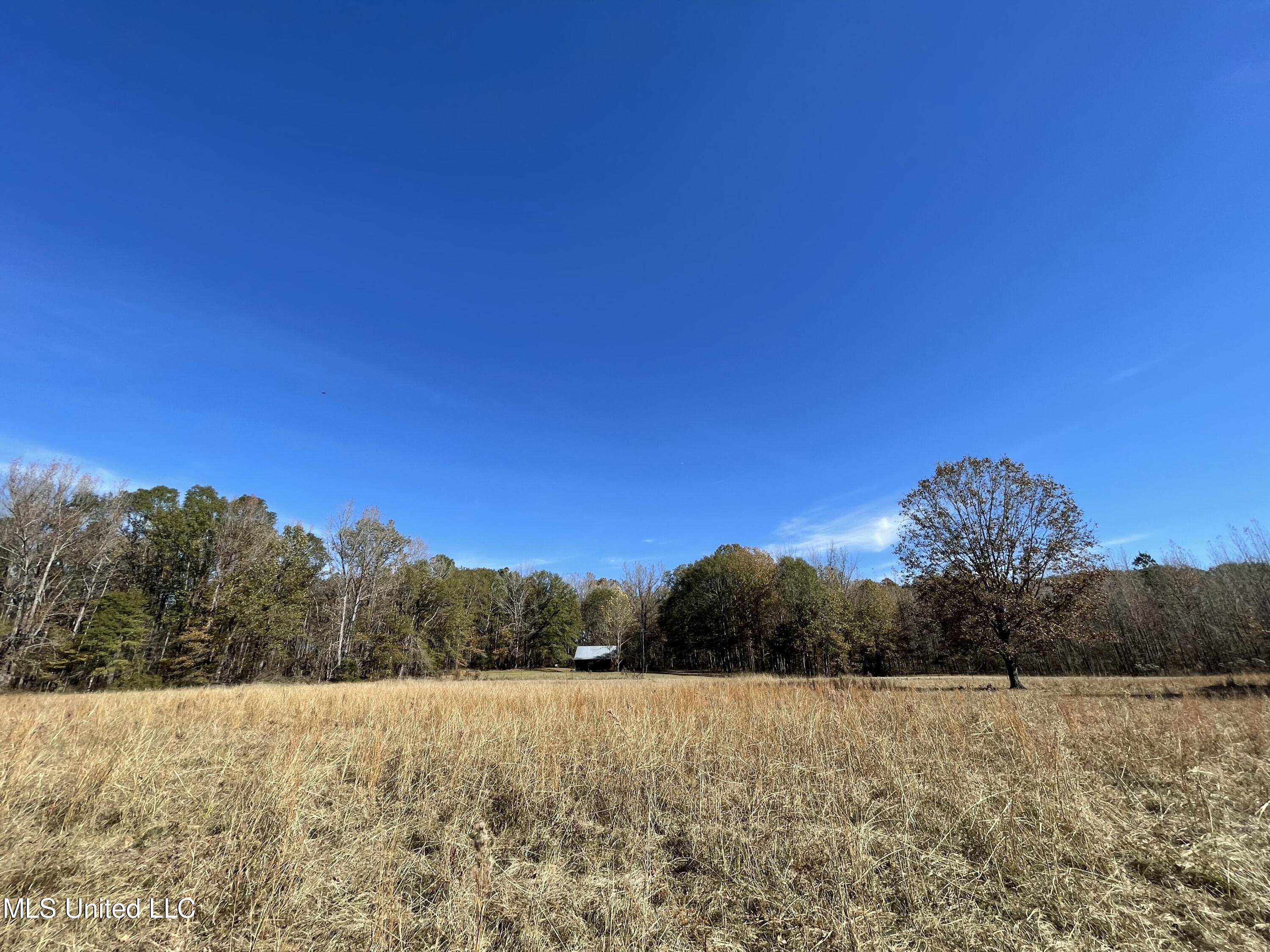 2300 Frank Hall Road Bolton, MS 39041 - Photo 50 of 56 IMG_5436