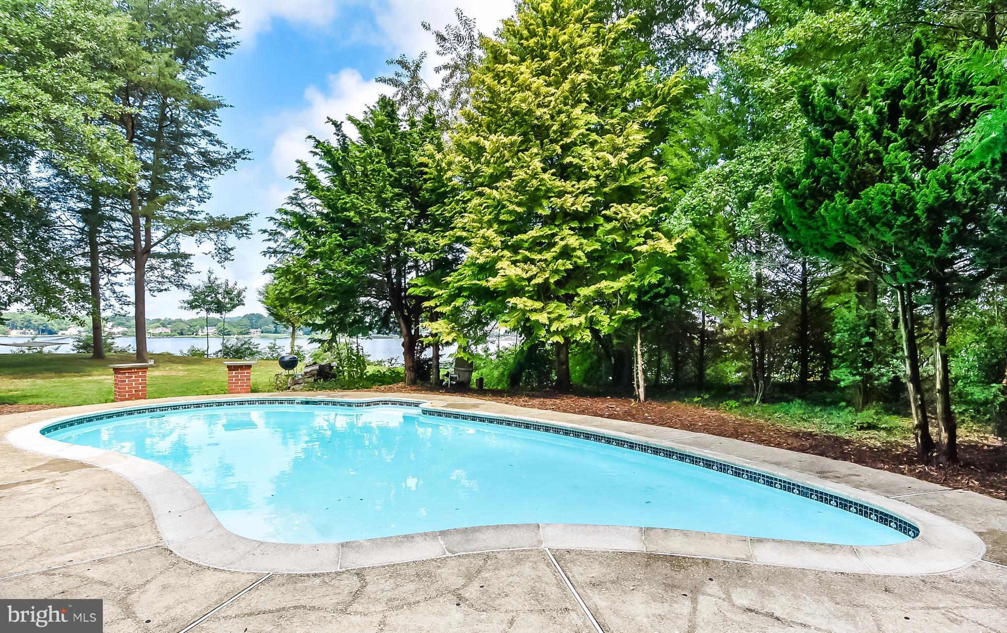 216 River Road Chestertown, MD 21620 - Photo 18 of 27 POOL
