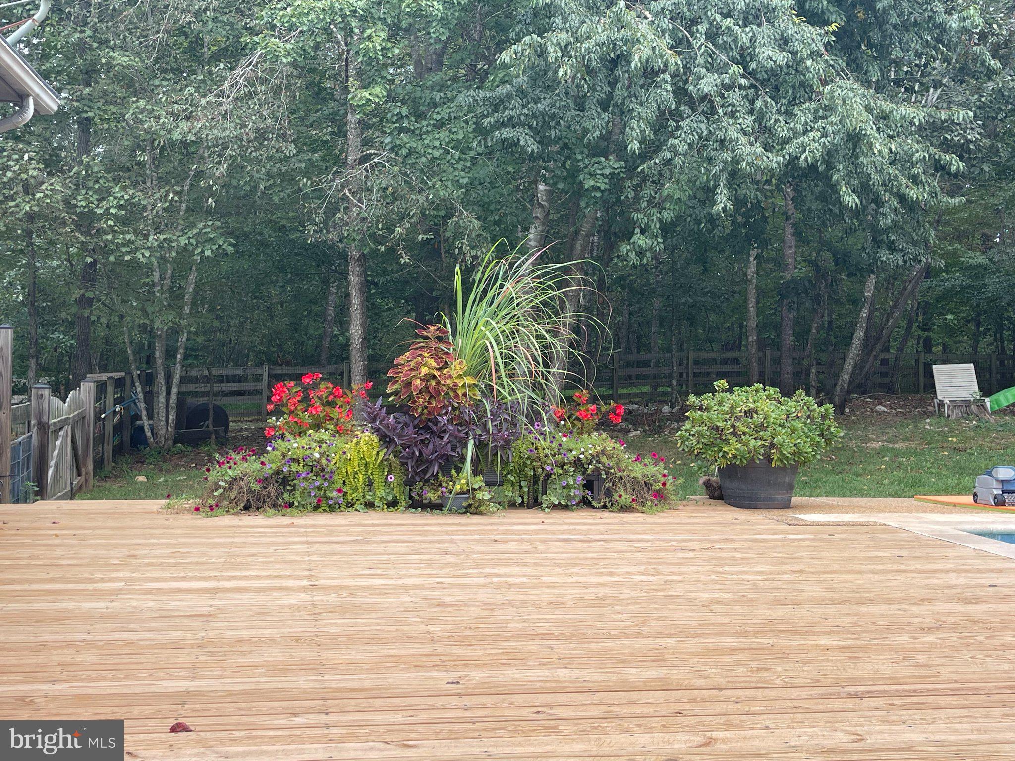 7747 Riverside Farm Road Marshall, VA 20115 - Photo 34 of 69 Lush garden oasis by the deck.