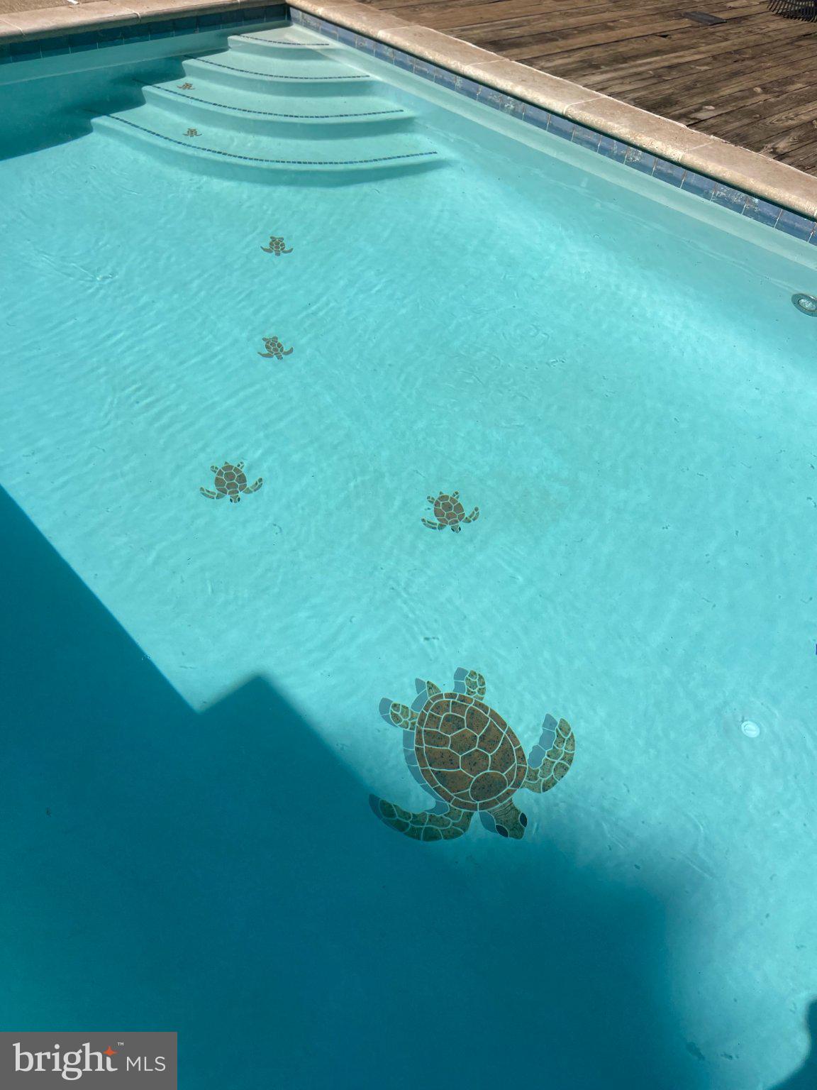 7747 Riverside Farm Road Marshall, VA 20115 - Photo 37 of 69 Turtle-themed pool oasis