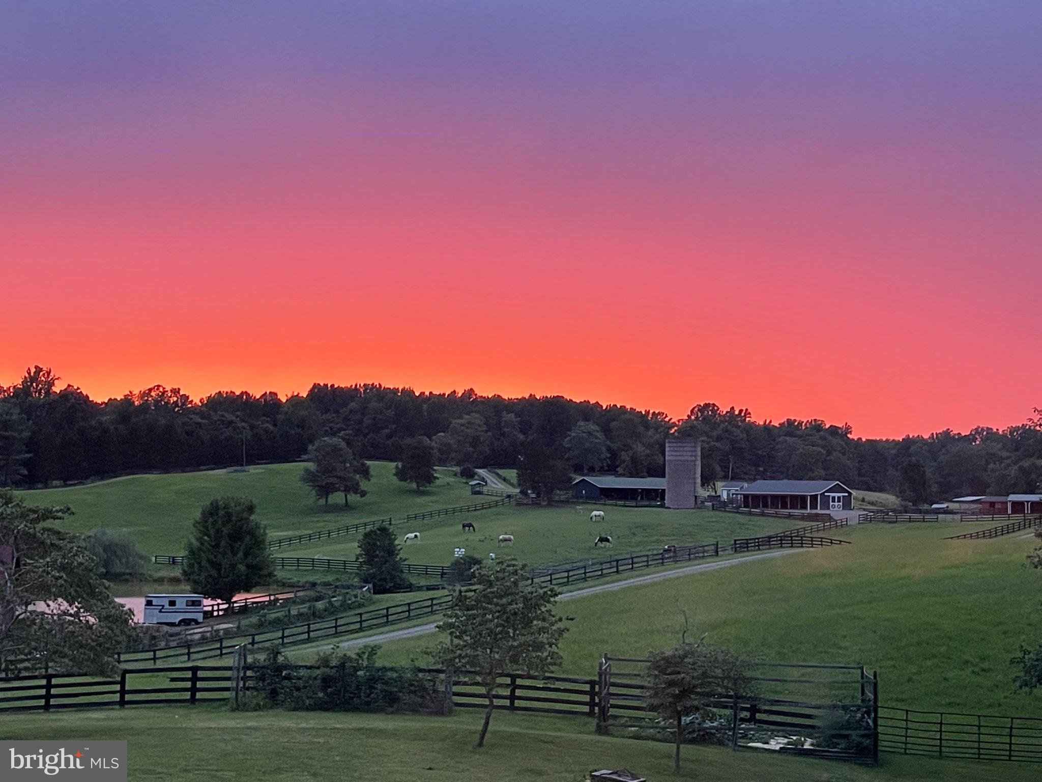 7747 Riverside Farm Road Marshall, VA 20115 - Photo 4 of 69 Serene sunset over rolling pastures.