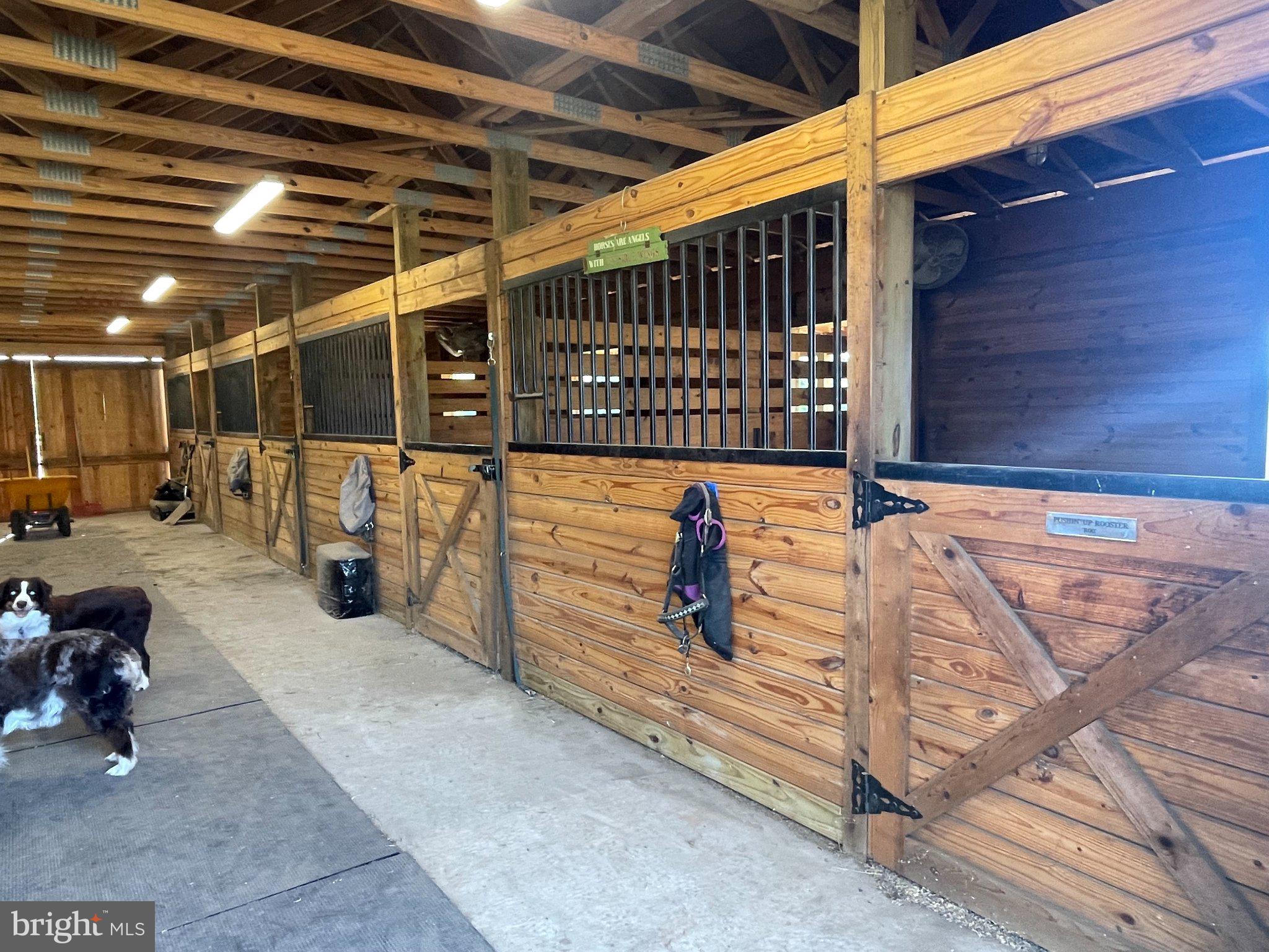 7747 Riverside Farm Road Marshall, VA 20115 - Photo 41 of 69 Spacious equestrian barn interior.