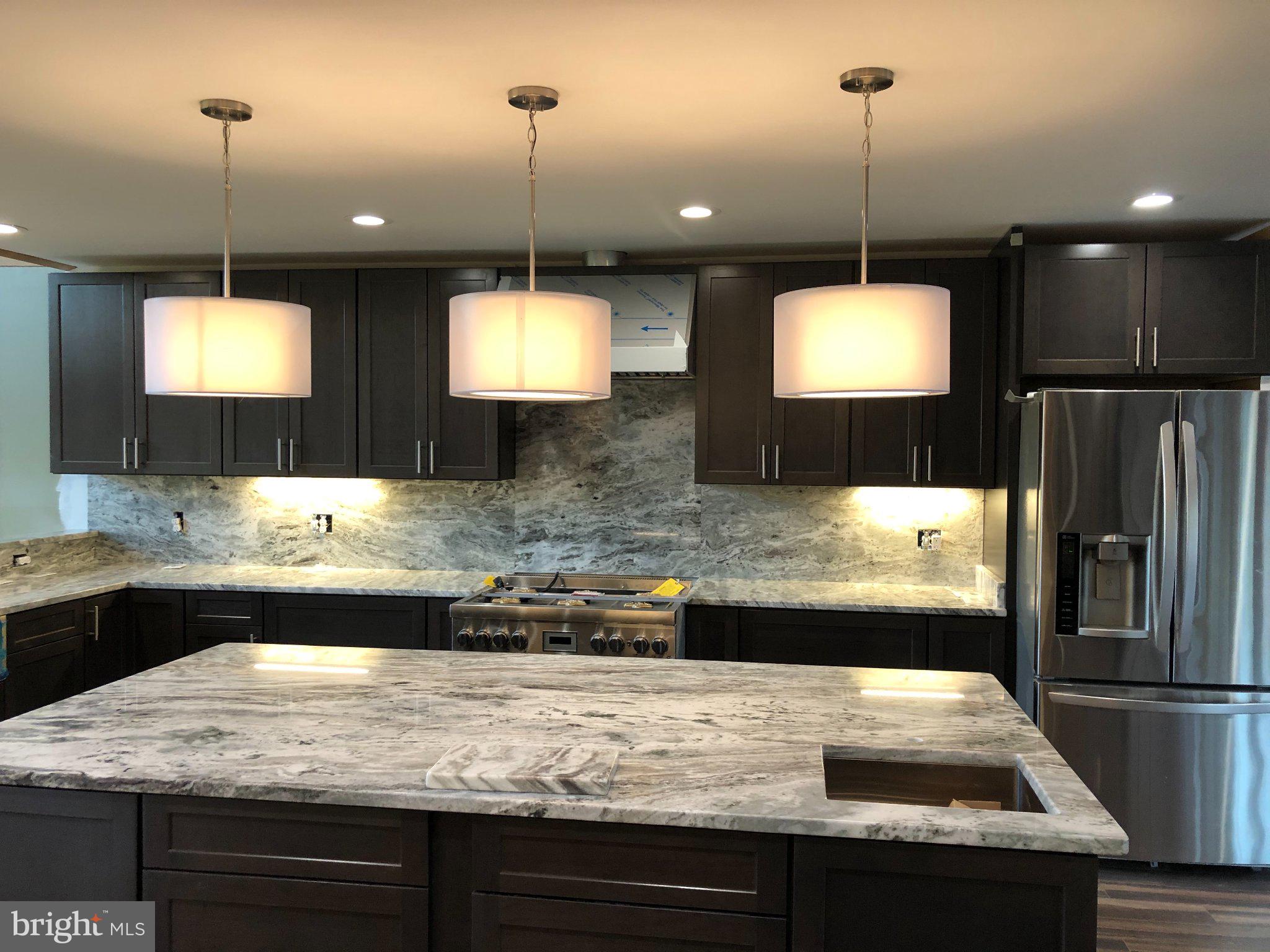 7747 Riverside Farm Road Marshall, VA 20115 - Photo 5 of 69 Modern kitchen with elegant finishes.